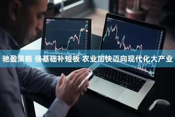 驰盈策略 强基础补短板 农业加快迈向现代化大产业