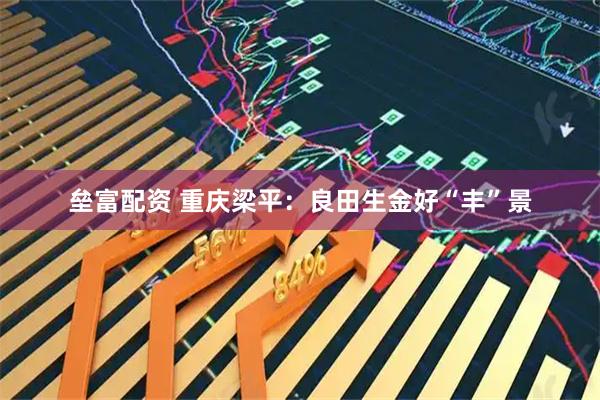 垒富配资 重庆梁平：良田生金好“丰”景