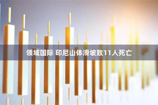 领域国际 印尼山体滑坡致11人死亡