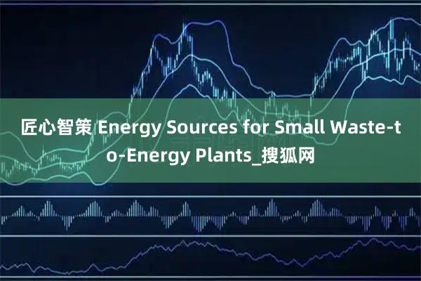 匠心智策 Energy Sources for Small Waste-to-Energy Plants_搜狐网