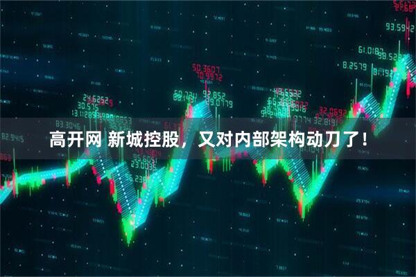 高开网 新城控股，又对内部架构动刀了！