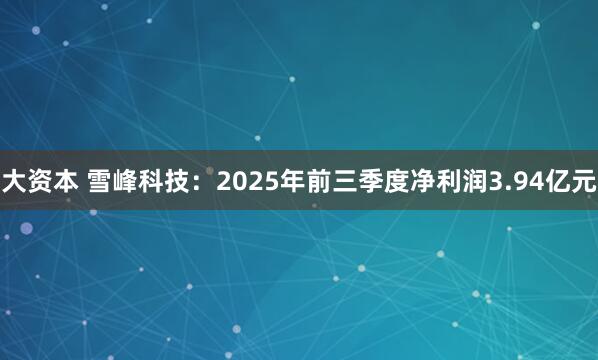 大资本 雪峰科技：2025年前三季度净利润3.94亿元