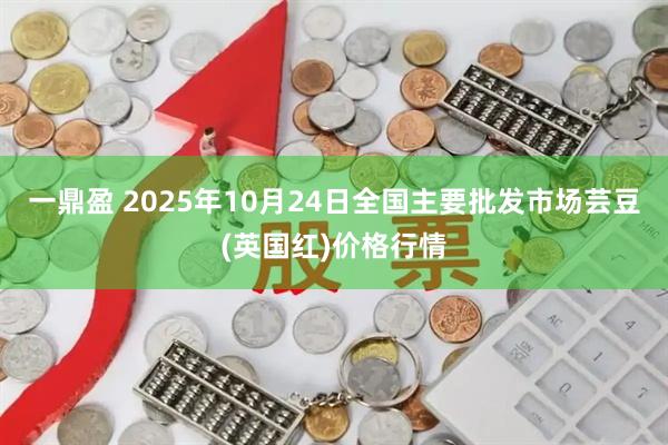 一鼎盈 2025年10月24日全国主要批发市场芸豆(英国红)价格行情