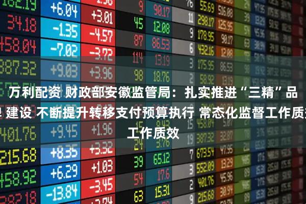 万利配资 财政部安徽监管局：扎实推进“三精”品牌 建设 不断提升转移支付预算执行 常态化监督工作质效