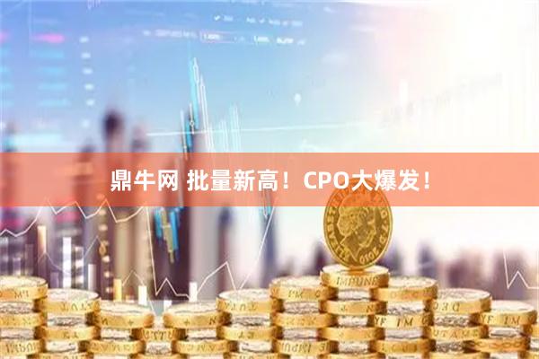 鼎牛网 批量新高！CPO大爆发！