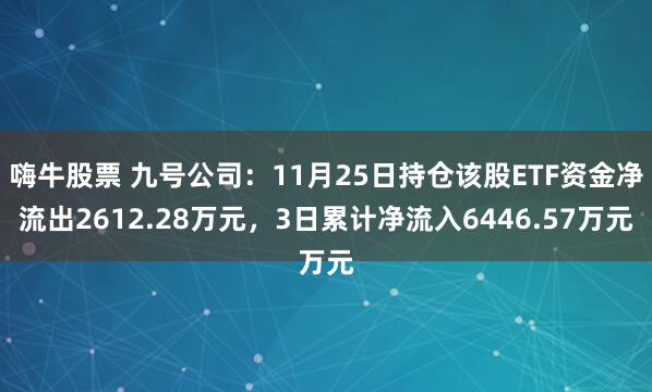 嗨牛股票 九号公司：11月25日持仓该股ETF资金净流出2612.28万元，3日累计净流入6446.57万元