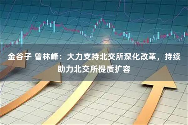 金谷子 曾林峰：大力支持北交所深化改革，持续助力北交所提质扩容