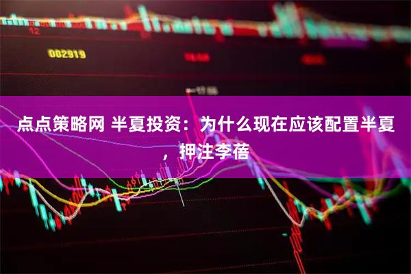 点点策略网 半夏投资：为什么现在应该配置半夏，押注李蓓
