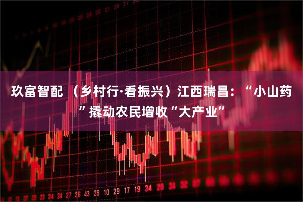 玖富智配 （乡村行·看振兴）江西瑞昌：“小山药”撬动农民增收“大产业”