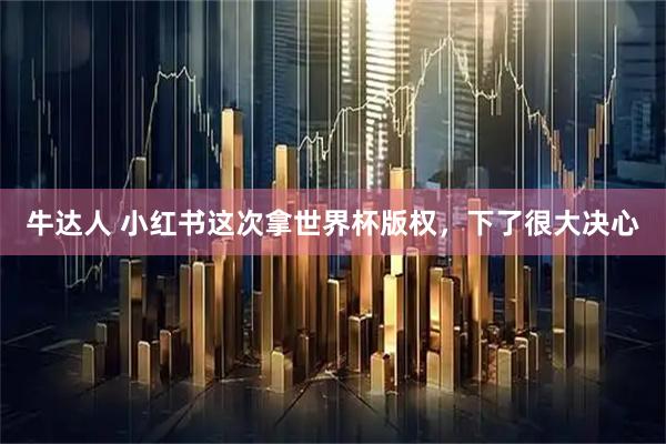 牛达人 小红书这次拿世界杯版权，下了很大决心